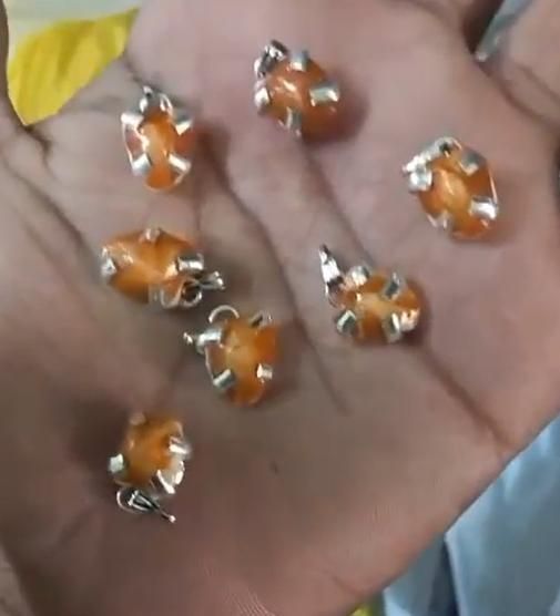 महामणि मच्छामणि